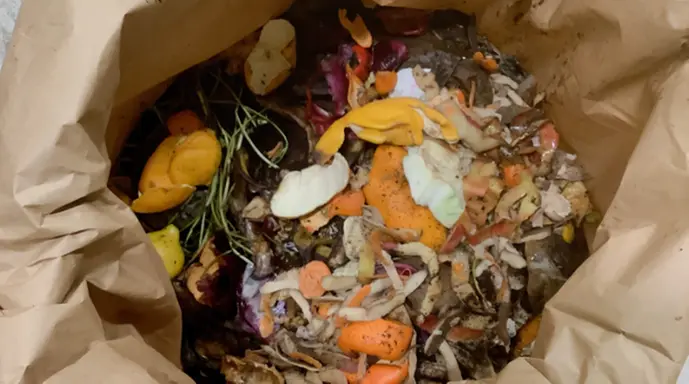 En närbild på innehållet i en matavfallspåse.