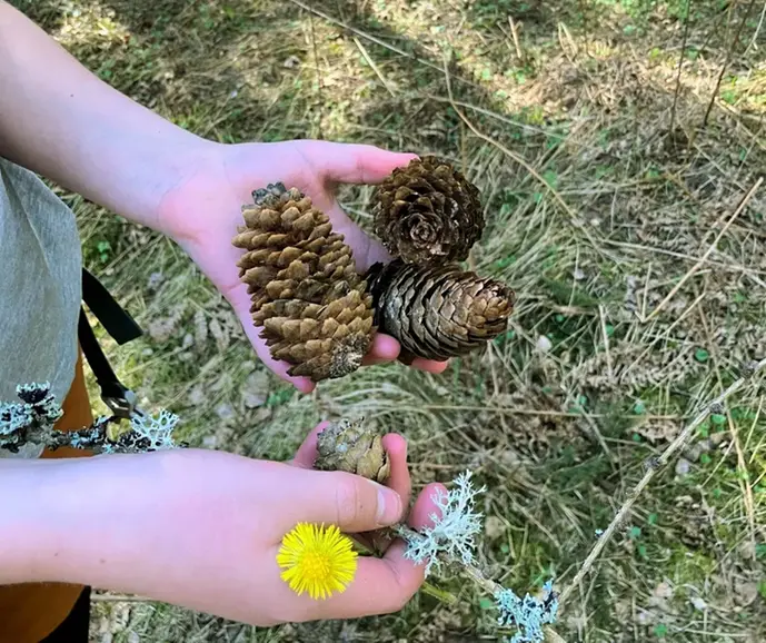 Två händer som håller i kottar och en blomma.